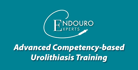 Advanced Competency-based Urolithiasis Training